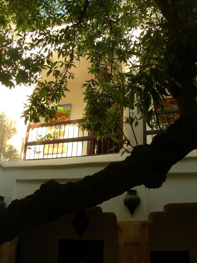 Riad Aldiana Марракеш Экстерьер фото